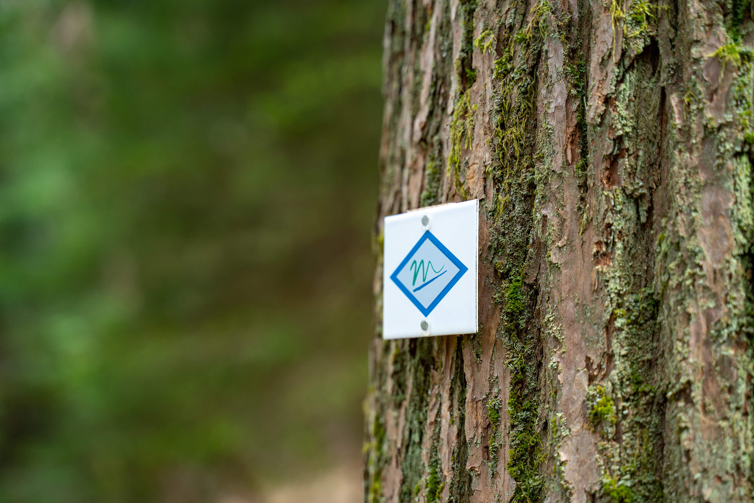 Wegzeichen der Murgleiter © Landratsamt Rastatt/Thorsten Günthert Wegzeichen der Murgleiter